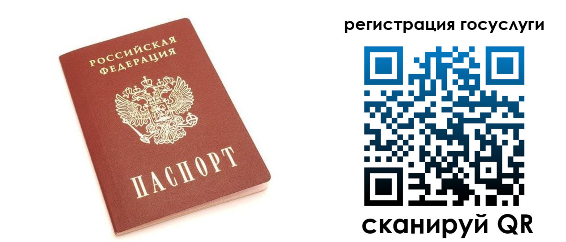 прописка 2025 в Куртамыше